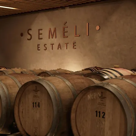 Semeli Estate Koutsion