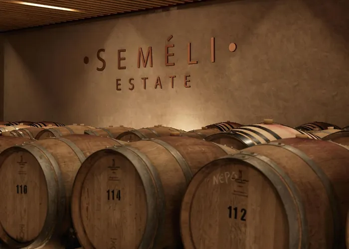 Semeli Estate Koutsion